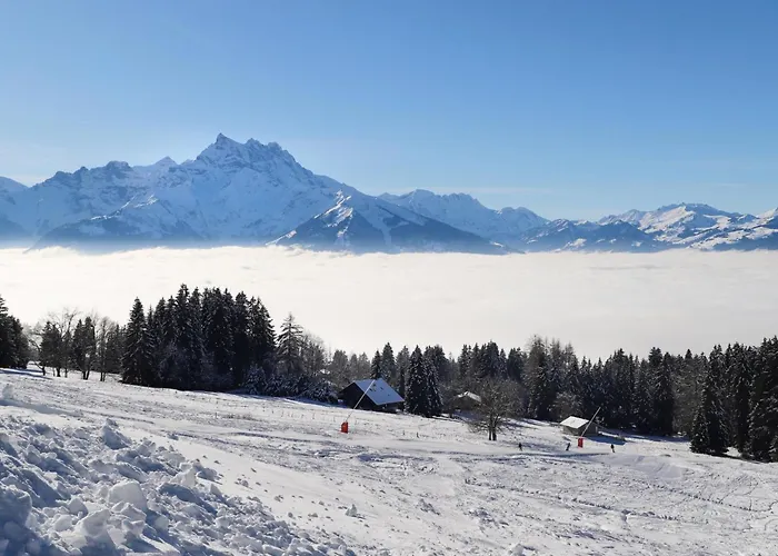 Gamat 49 By Interhome Villars-sur-Ollon