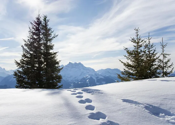 Gamat 49 By Interhome * Villars-sur-Ollon