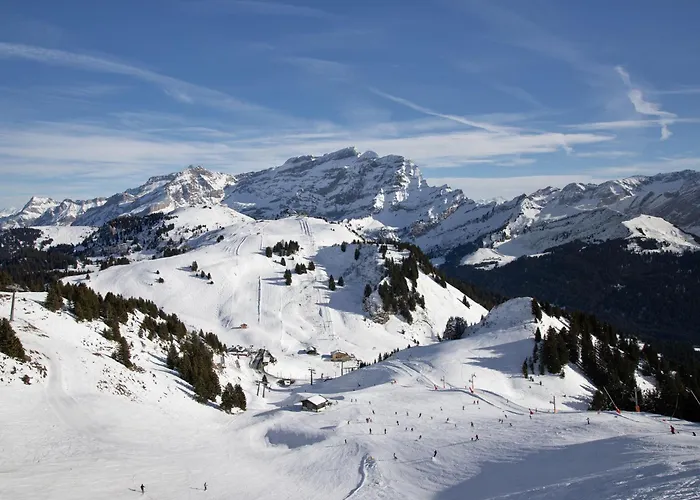 Gamat 49 By Interhome Appartement Villars-sur-Ollon